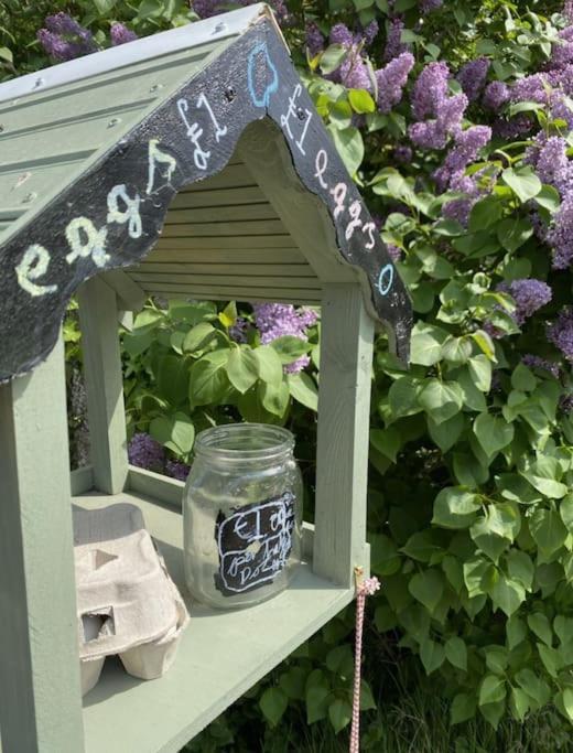 The Annex: 2 Bedroom Cottage, Countryside, Peaceful Getaway With Garden Easingwold Luaran gambar